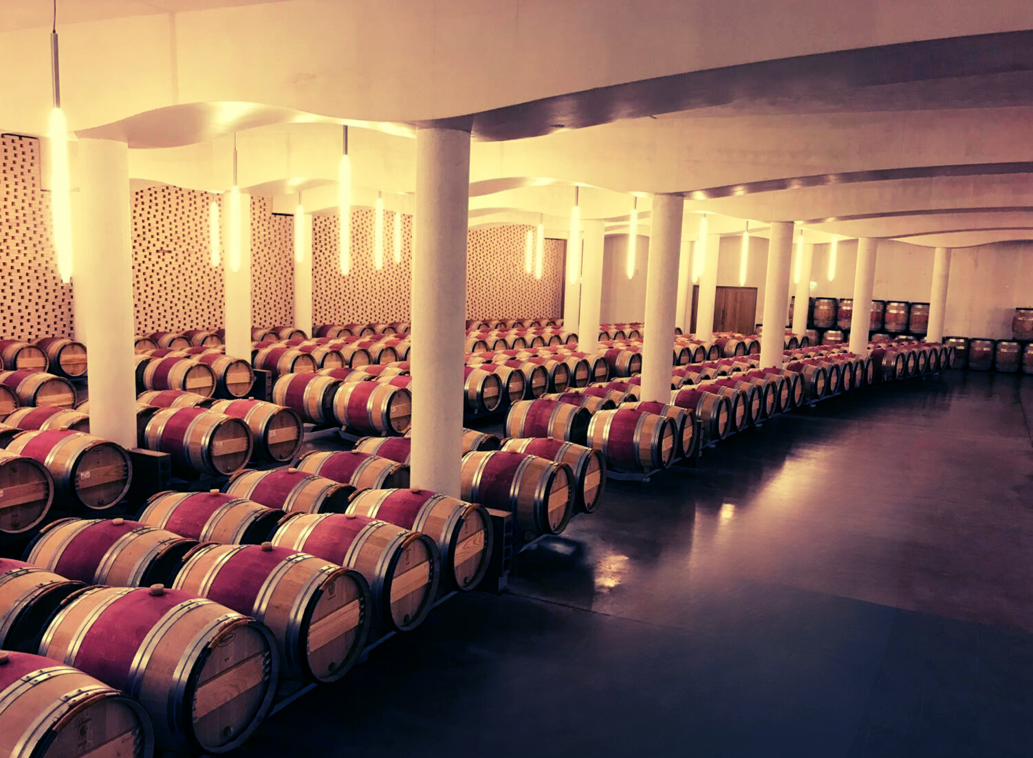 Wijnkelder met vaten